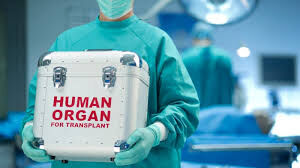 Alleged organ harvesting: Court to hear no-case submission filed doctor, 3 others