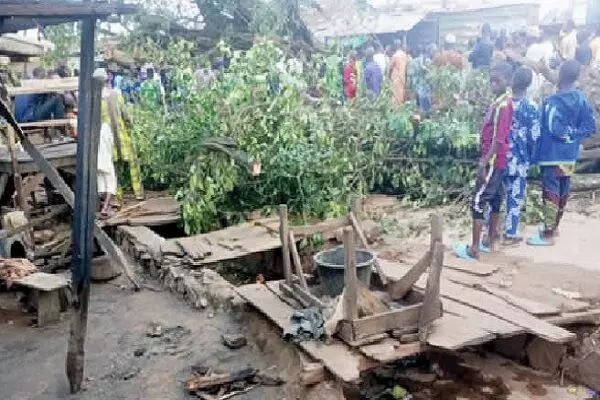 Trees kill four at Jattu market during rainfall