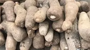 Nigerians resort to buying yam in pieces as prices soar