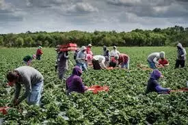 Farming not minimum wage will reduce hunger – Don tells youth