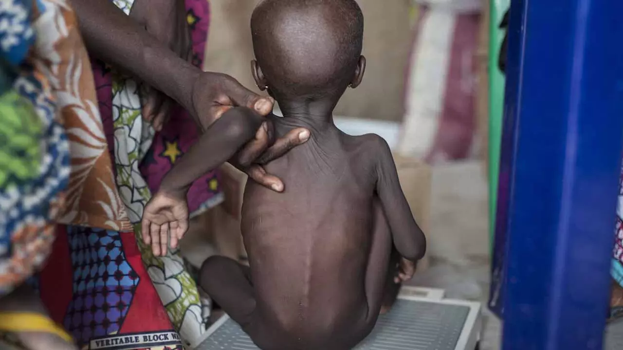 733m suffered hunger in 2023 – Report