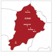 IED kills 1, injures 11 in Maiduguri — Police