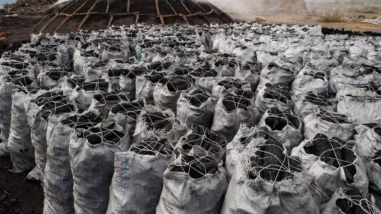 Price of charcoal skyrockets in Kano