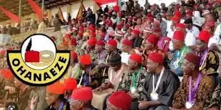 Iwuanyanwu’s death: Ohanaeze debunks leadership tussle speculation