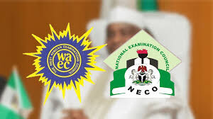 WAEC/NECO: Group calls for suspension of FG’s age limit policy