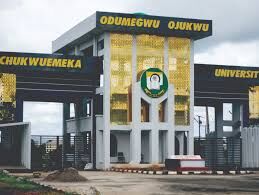 Ojukwu varsity makes N1.5m profit from vegetable sales in 3 months – Acting VC