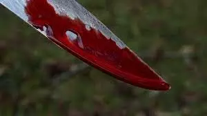 19-year-old woman allegedly stabs man to death during argument