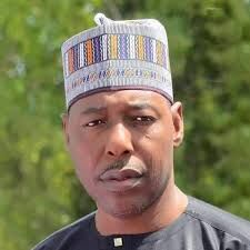 Magnitude of destruction from Maiduguri flood cannot yet be quantified - Zulum