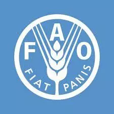 Over 2.8bn people can’t afford healthy diets – FAO