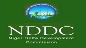 Court dismisses suit against Tinubu over appointment of NDDC board chair