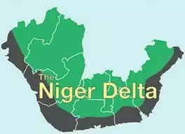 Niger delta region seeks just energy transition