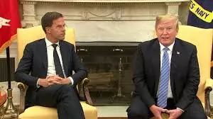 NATO boss, Rutte, believes Trump has backed, will back alliance