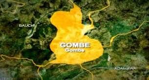 We’ve made progress stopping mother-to-child HIV transmission – Gombe Govt.