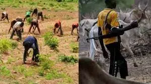 Benue to conduct livestock census to end clashes