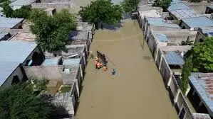 Flood committee disburses N18bn to 101,330 Borno households