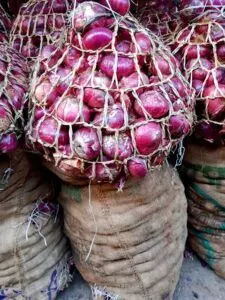 Onion farmers link price hike, scarcity to flood, climate change