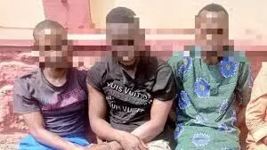 Police arrest 25 suspects including man who allegedly beheaded 80-year-old woman in Ogun