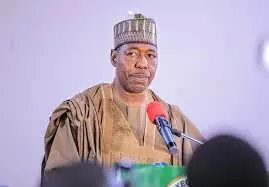 Gov. Zulum condemns attack on farmers in Kukawa