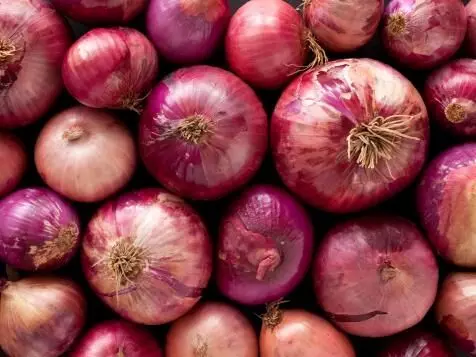 Nigerian onion marketers Commence Documented Exports