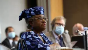 WTO: Financial Expert Sets Agenda for Okonjo-Iweala