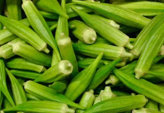 Okra mucilage, full of nutrients, suitable for medicinal, industrial applications — Expert