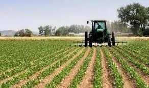 Expert advocates use of bio-fertilisers to boost organic farming