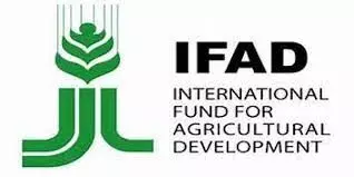 IFAD budgets N56m for value chain project